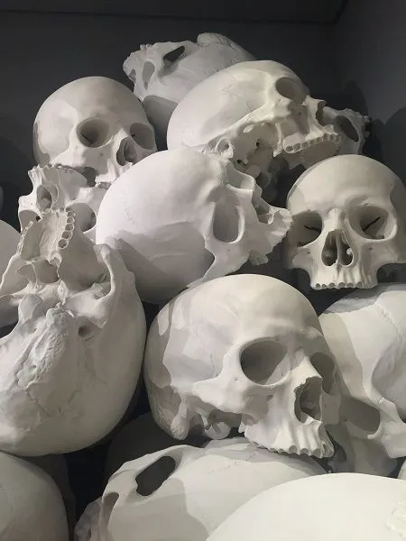 skull room.jpg