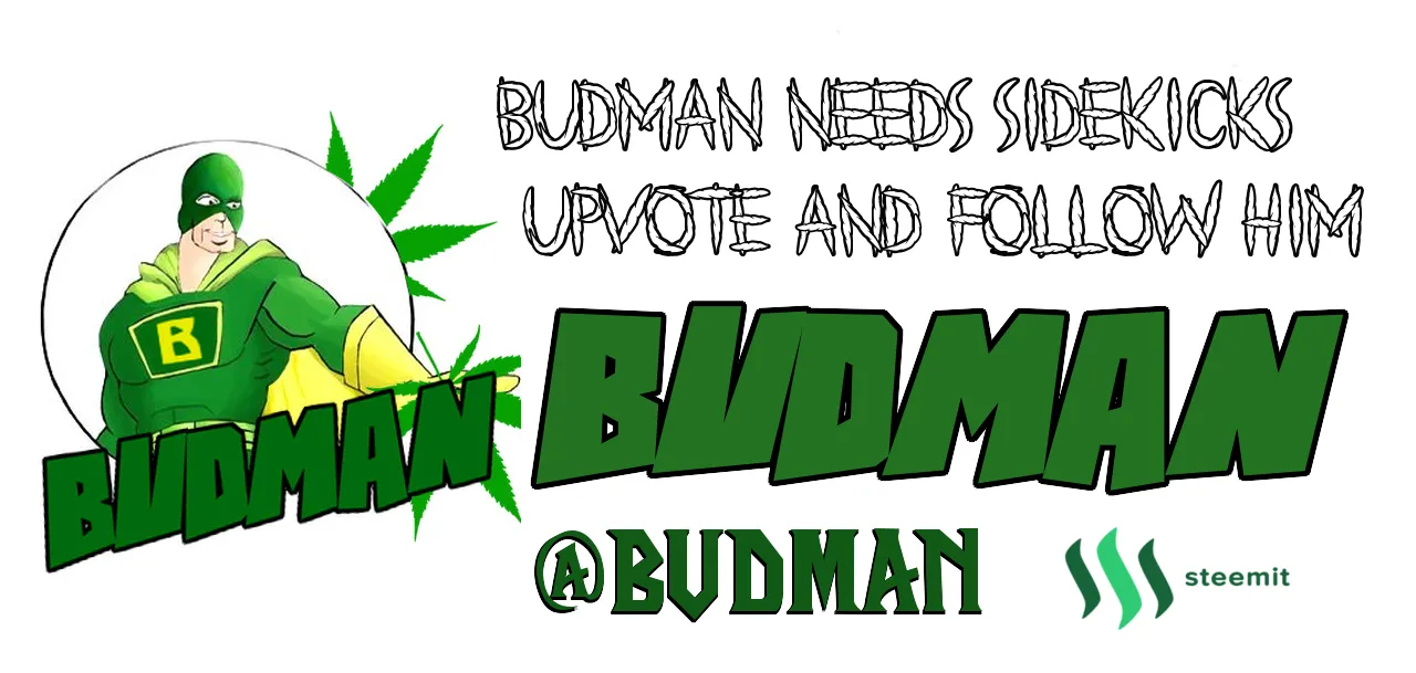 BUDMANFOLLOW.png