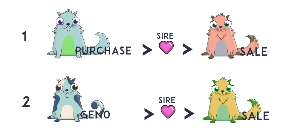 purchaseflow.png