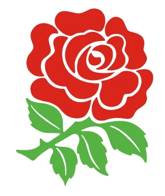 englishrose2.jpg