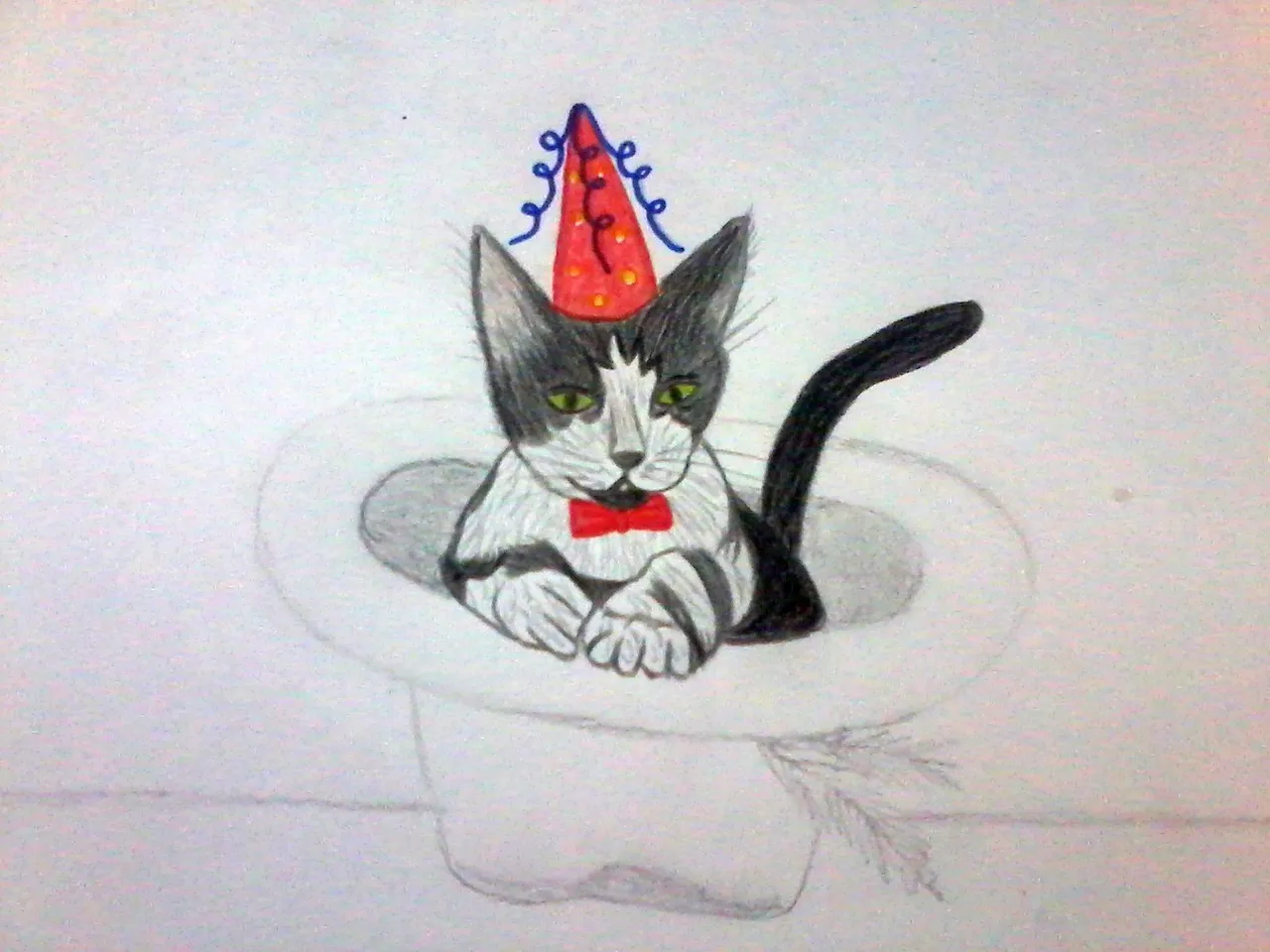 proceso2gato.jpg