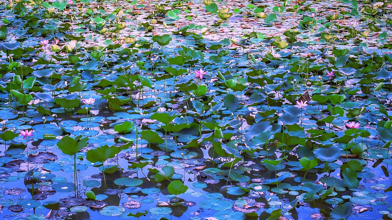 DSC_0892-01.jpeg