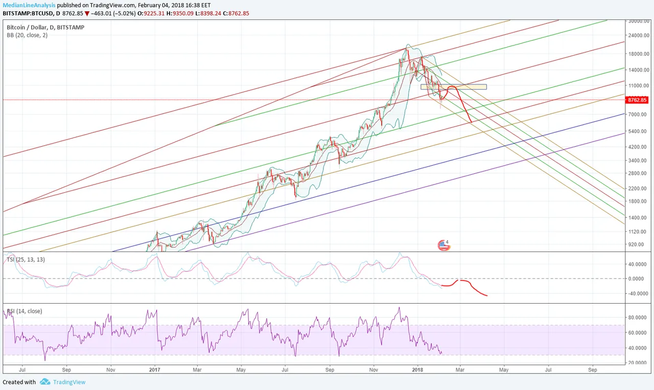 BTC february.png