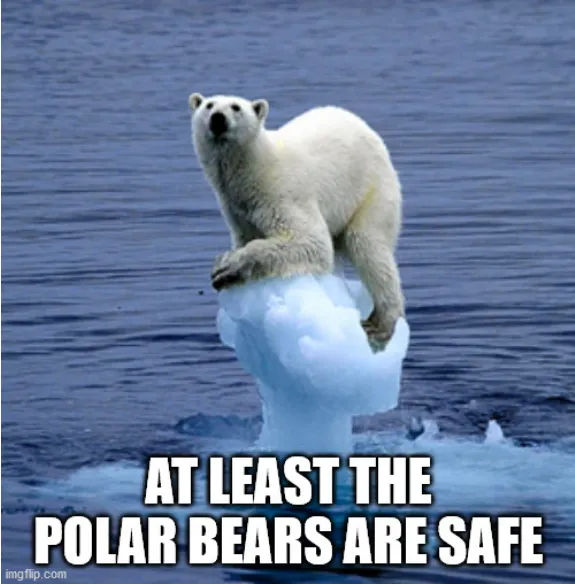 Screenshot 2021-09-25 at 17-13-01 Global Warming Polar Bear Meme Generator - Imgflip.png