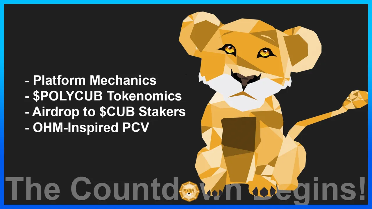 Introducing PolyCUB  Preparing for Launch, Tokenomics, Airdrop Details  Partnerships.png