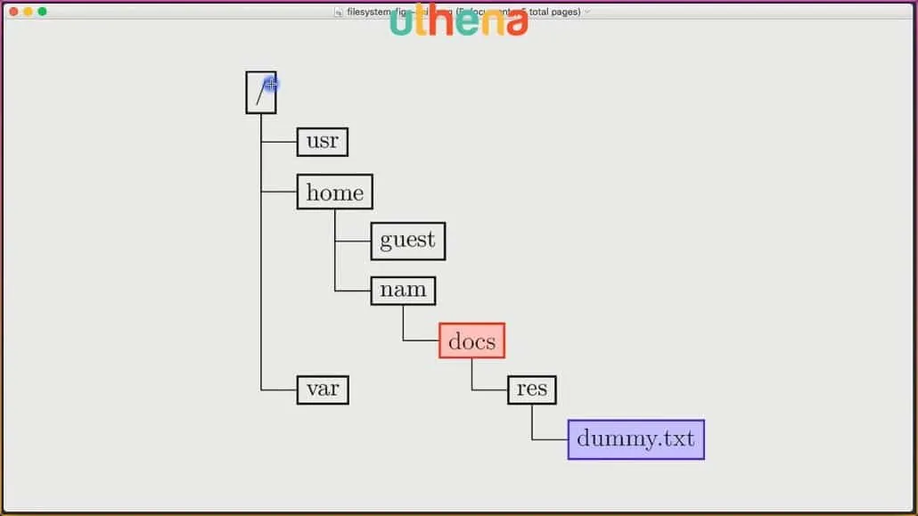 Learn Linux Command Line! Linux Basics for Beginners with Mohammad Nauman