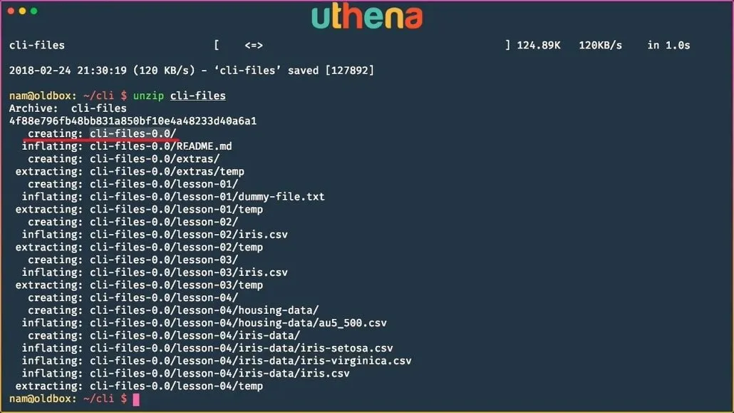 Learn Linux Command Line! Linux Basics for Beginners with Mohammad Nauman