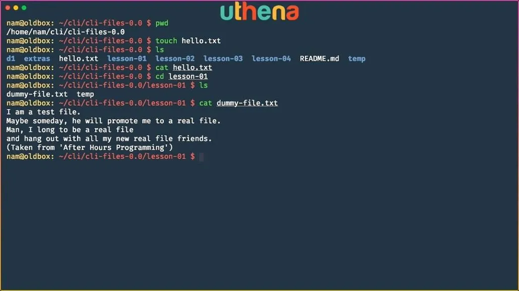 Learn Linux Command Line! Linux Basics for Beginners with Mohammad Nauman