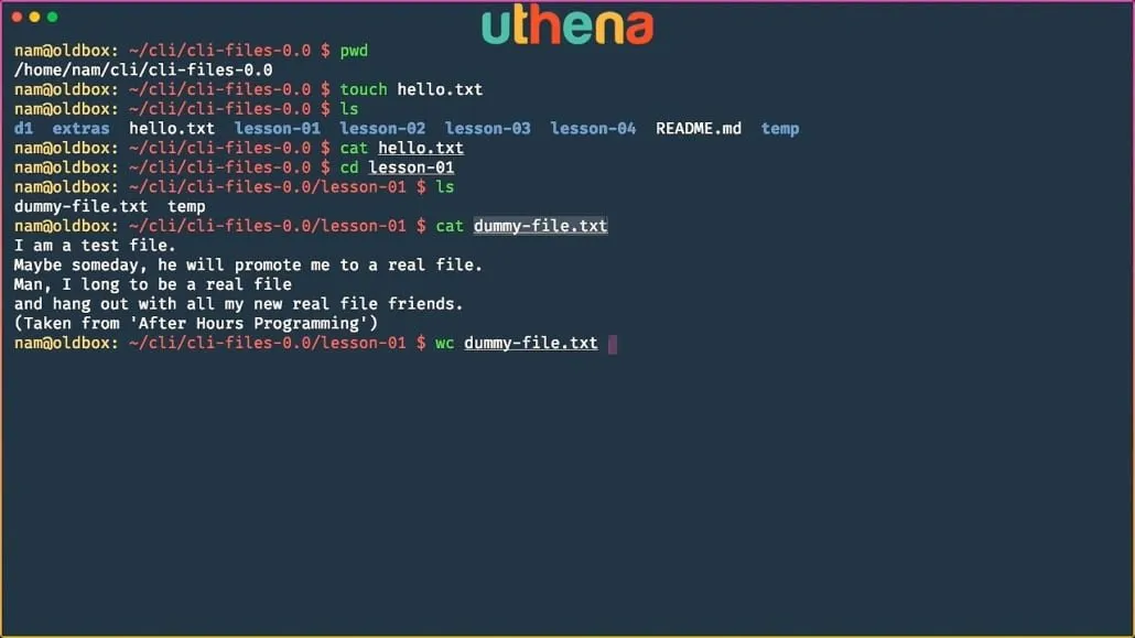 Learn Linux Command Line! Linux Basics for Beginners with Mohammad Nauman