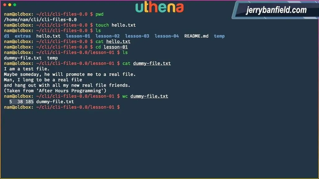 Learn Linux Command Line! Linux Basics for Beginners with Mohammad Nauman