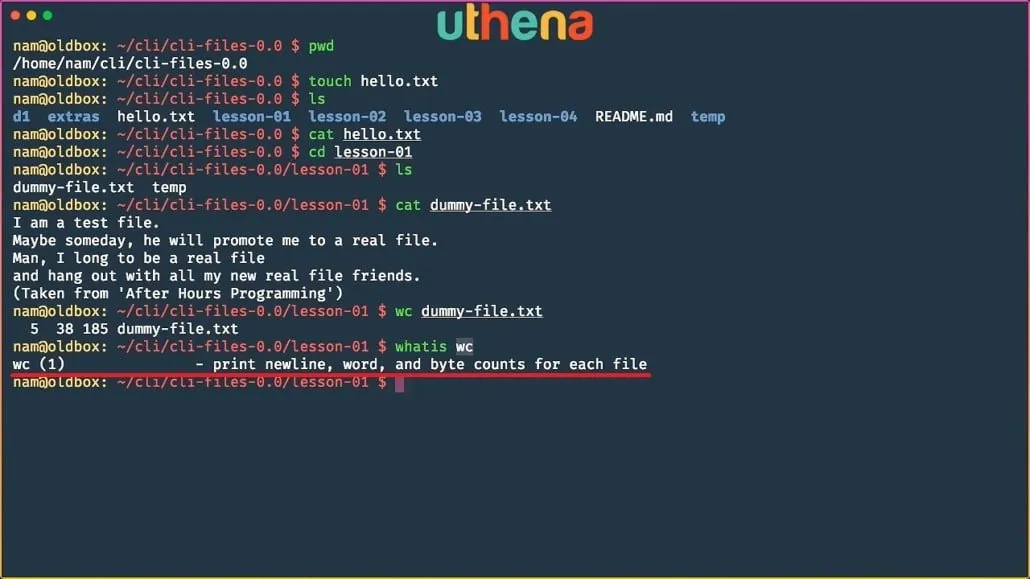 Learn Linux Command Line! Linux Basics for Beginners with Mohammad Nauman