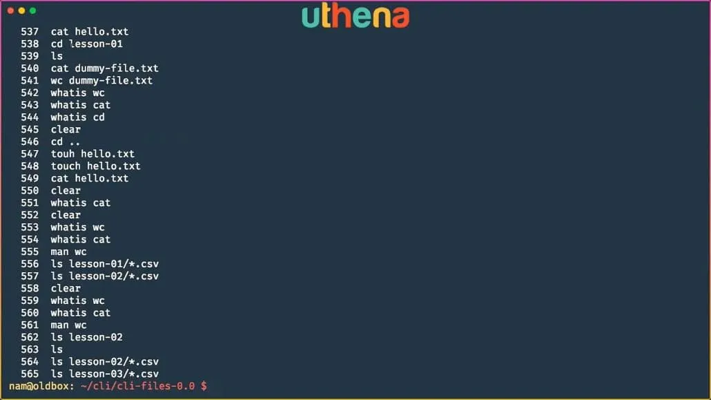 Learn Linux Command Line! Linux Basics for Beginners with Mohammad Nauman
