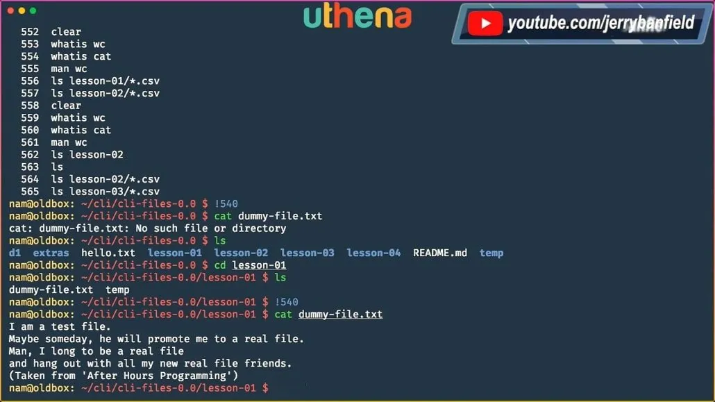 Learn Linux Command Line! Linux Basics for Beginners with Mohammad Nauman