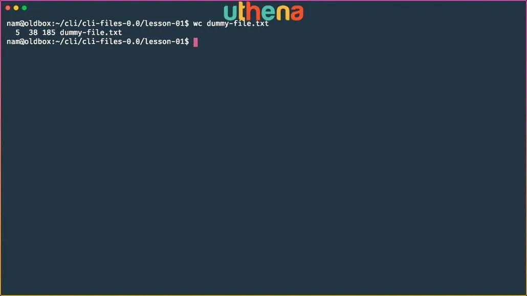 Learn Linux Command Line! Linux Basics for Beginners with Mohammad Nauman