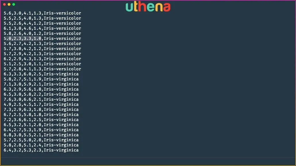 Learn Linux Command Line! Linux Basics for Beginners with Mohammad Nauman