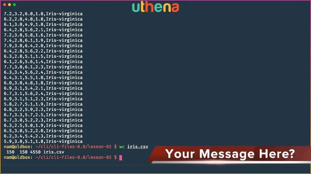 Learn Linux Command Line! Linux Basics for Beginners with Mohammad Nauman