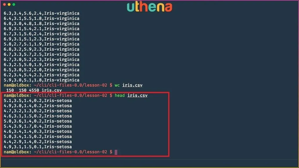 Learn Linux Command Line! Linux Basics for Beginners with Mohammad Nauman
