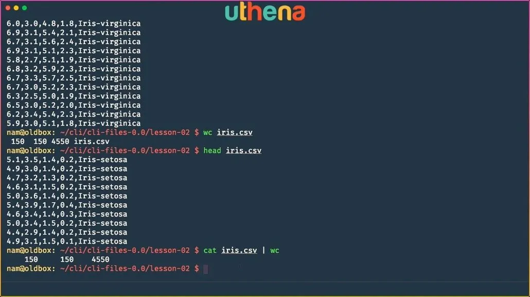 Learn Linux Command Line! Linux Basics for Beginners with Mohammad Nauman