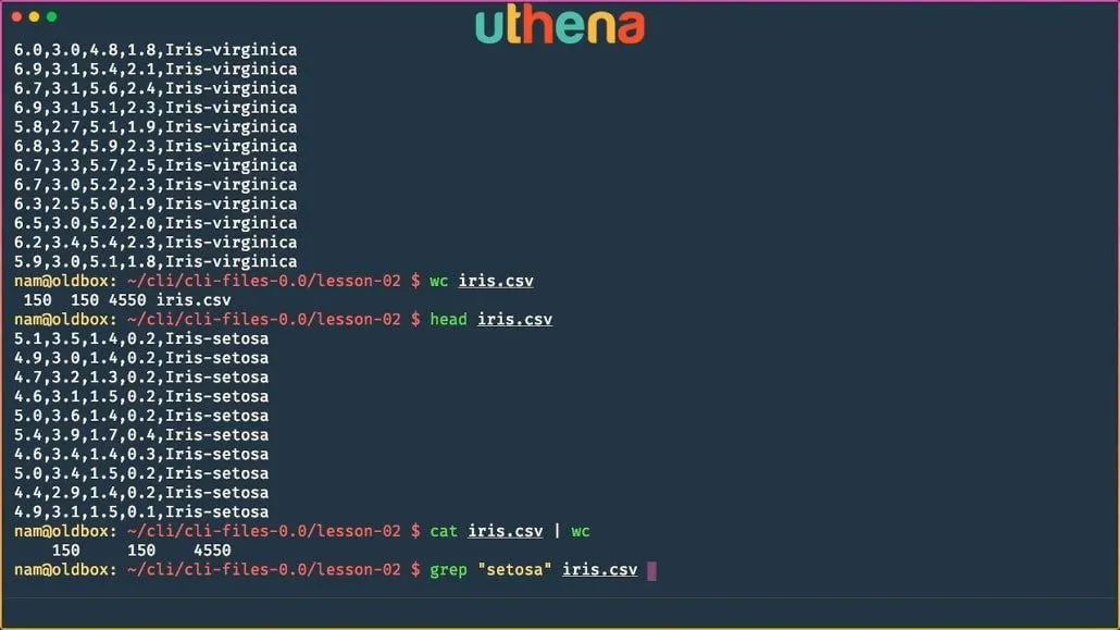Learn Linux Command Line! Linux Basics for Beginners with Mohammad Nauman