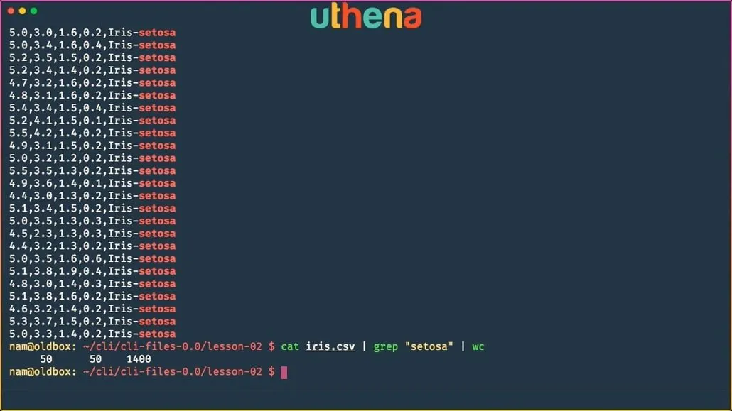 Learn Linux Command Line! Linux Basics for Beginners with Mohammad Nauman