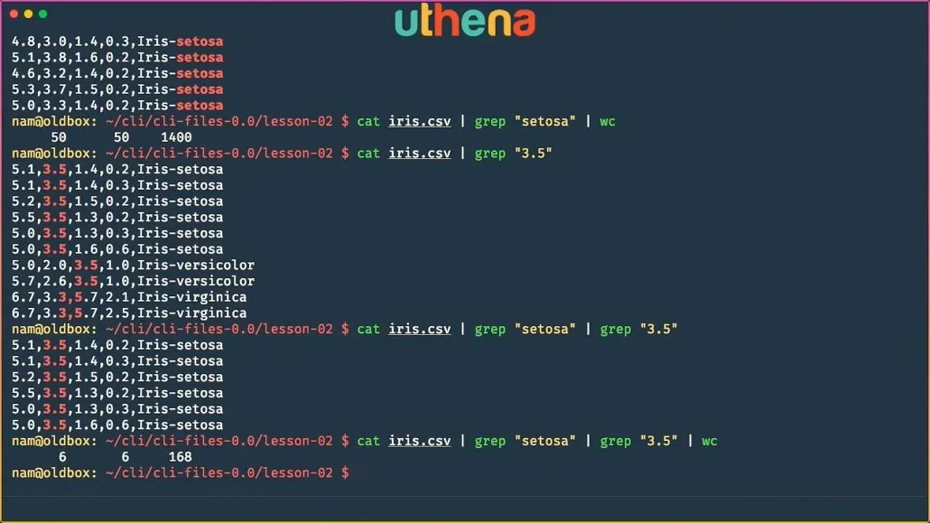 Learn Linux Command Line! Linux Basics for Beginners with Mohammad Nauman