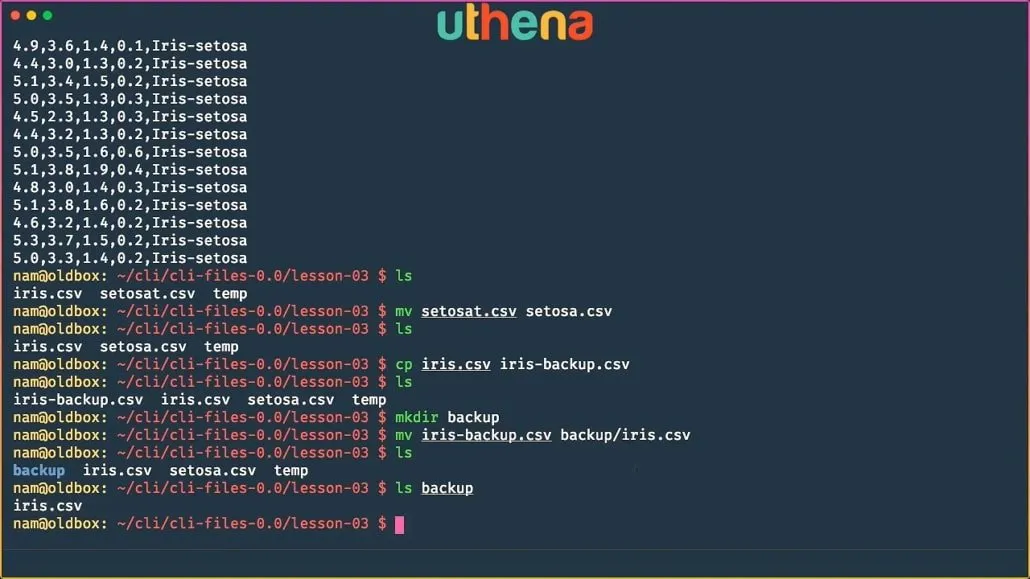 Learn Linux Command Line! Linux Basics for Beginners with Mohammad Nauman