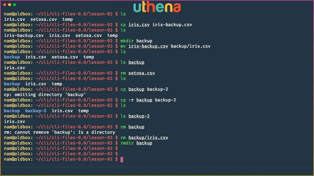 Learn Linux Command Line! Linux Basics for Beginners with Mohammad Nauman
