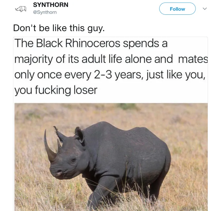 SYNTHORN on Twitter Don t be like this guy. https t.co DZ0mwc8DZe (1).png