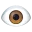 eye