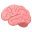 brain