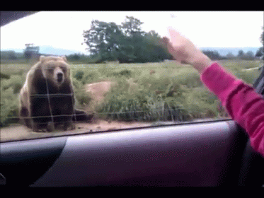 untitled.gif