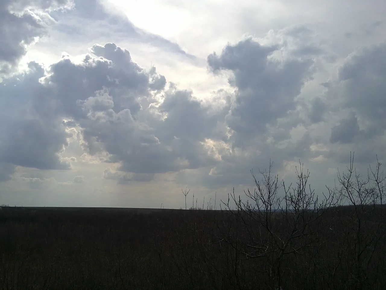 08042012780.jpg