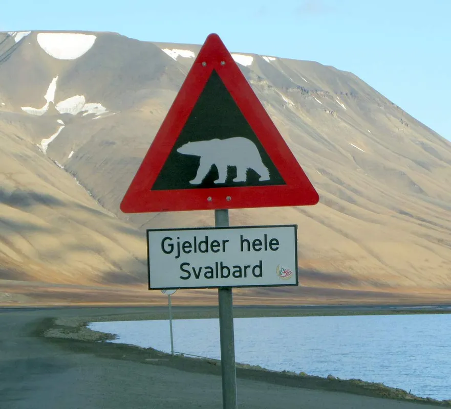 Polar bear warning sign - A sign just outside Longyearbyen, Spitzbergen, Svalbard.