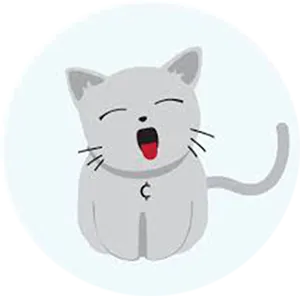 Catcoin