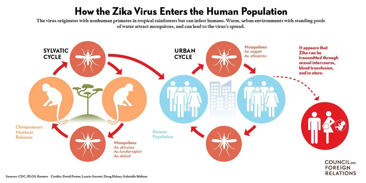 zika map