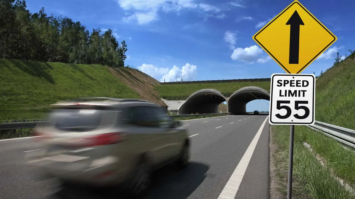 Speed ââlimit ile ilgili görsel sonucu