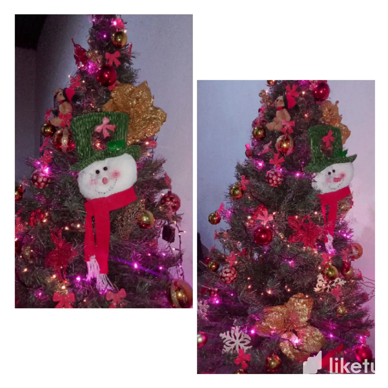 OTwpe9Z3r2Ap0Sxw_Picsart_24-11-20_17-59-57-534.webp