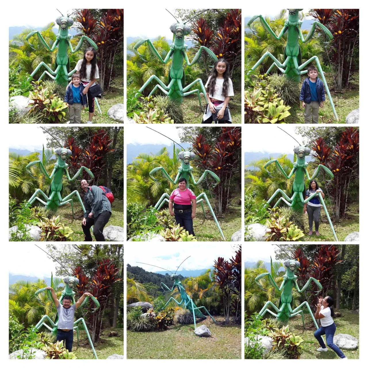 hPpaib7p4dNUNZid_20240831_123204-EDIT-COLLAGE.webp