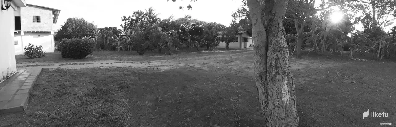 clfkdd5b700vobosza3n5himi_20200312_174134-01.webp