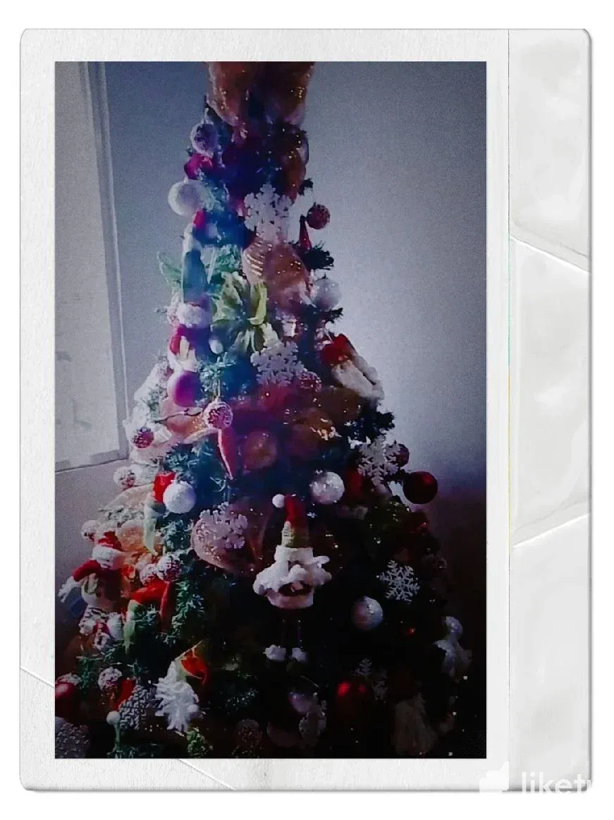 claesxqp801wt0xmj38sghv35_OldRoll_1668309253103.webp