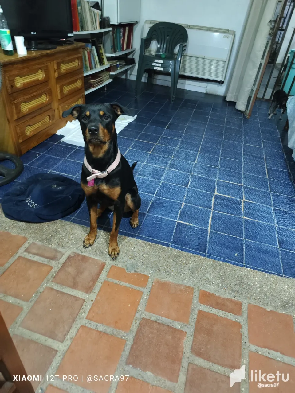 clpx6of7g0002bhszb9l46k6a_IMG_20231116_0552361.webp