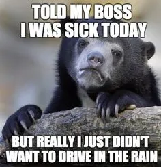 5d2a59d266cb9ee07d574b0a63cb07f6--animal-memes-funny-animals.jpg