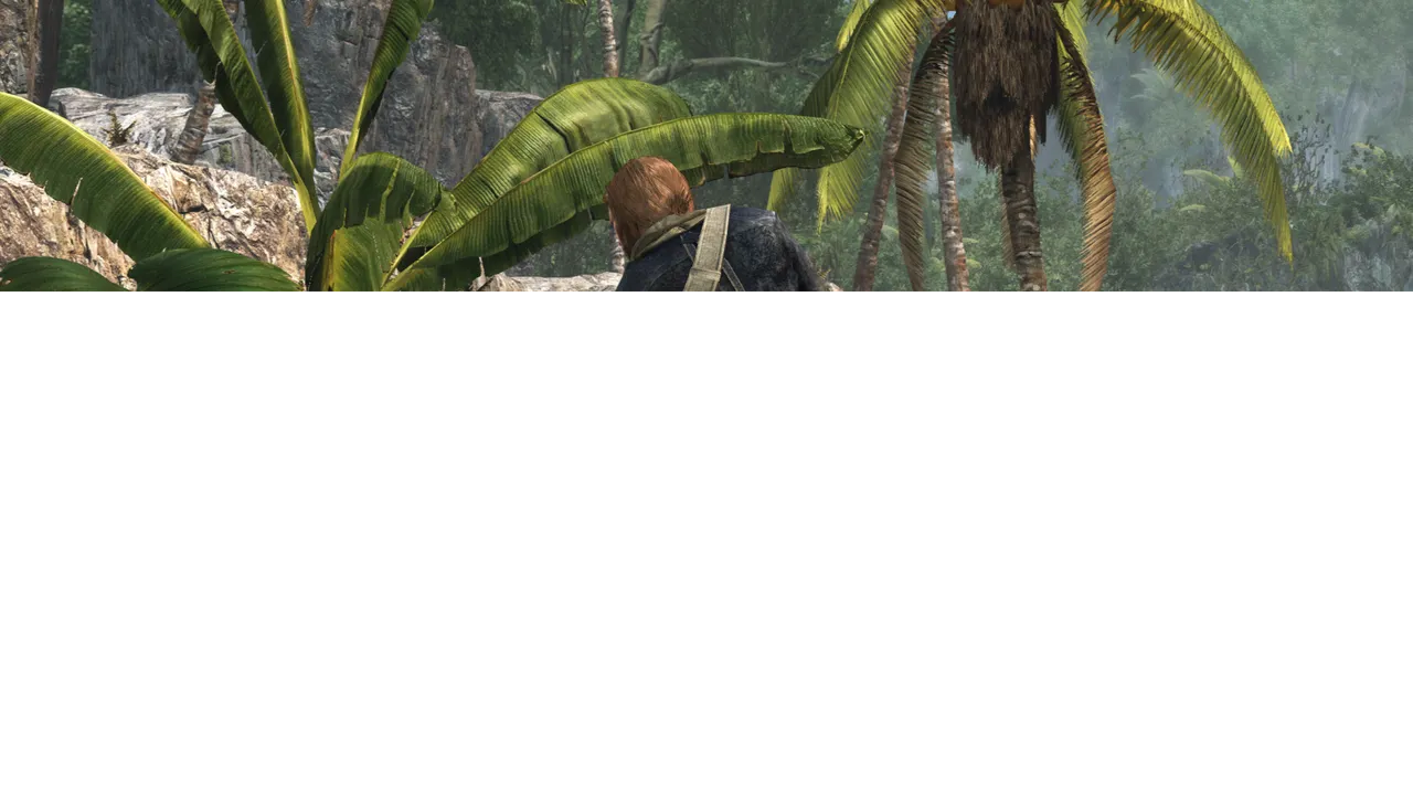 Assassin's Creed IV Black Flag 4_24_2022 1_34_53 AM.png