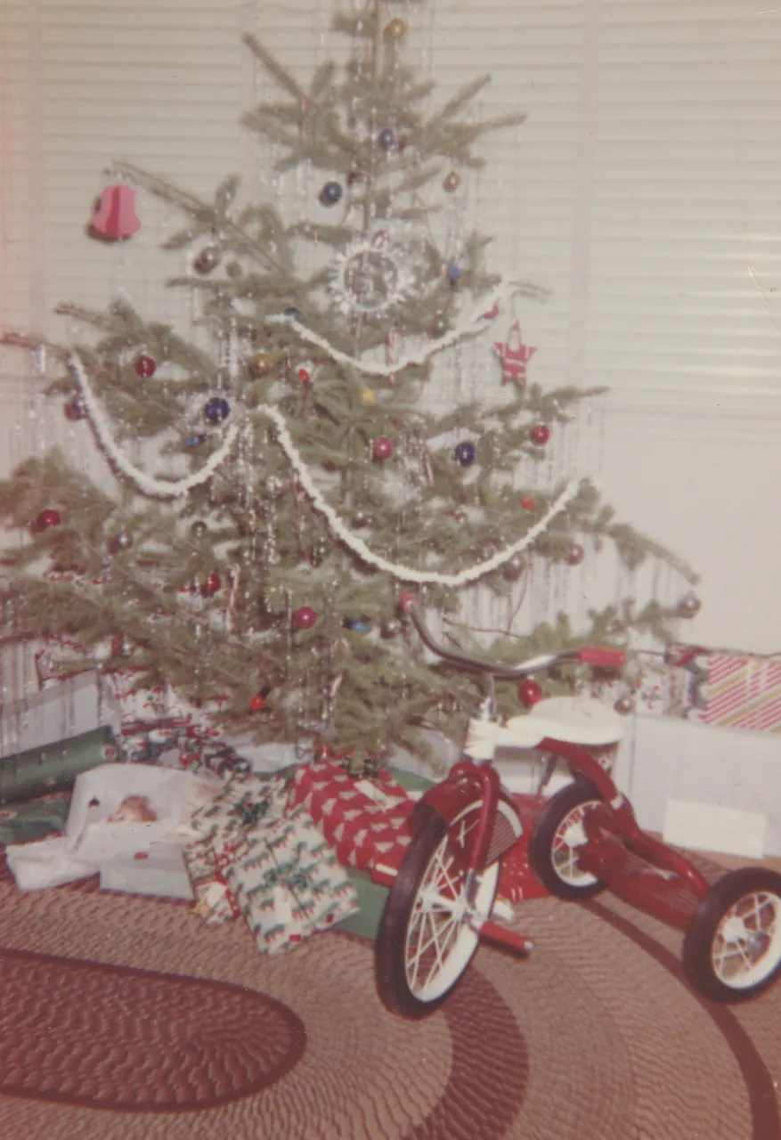 1970 maybe - Don, Christmas tree and red tricycle.jpg