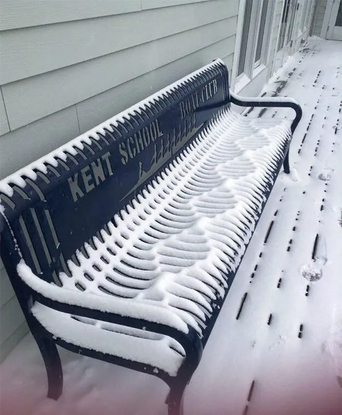 unbelievable-not-photoshopped-photos-real-204-58b83678c7b48__700.jpg