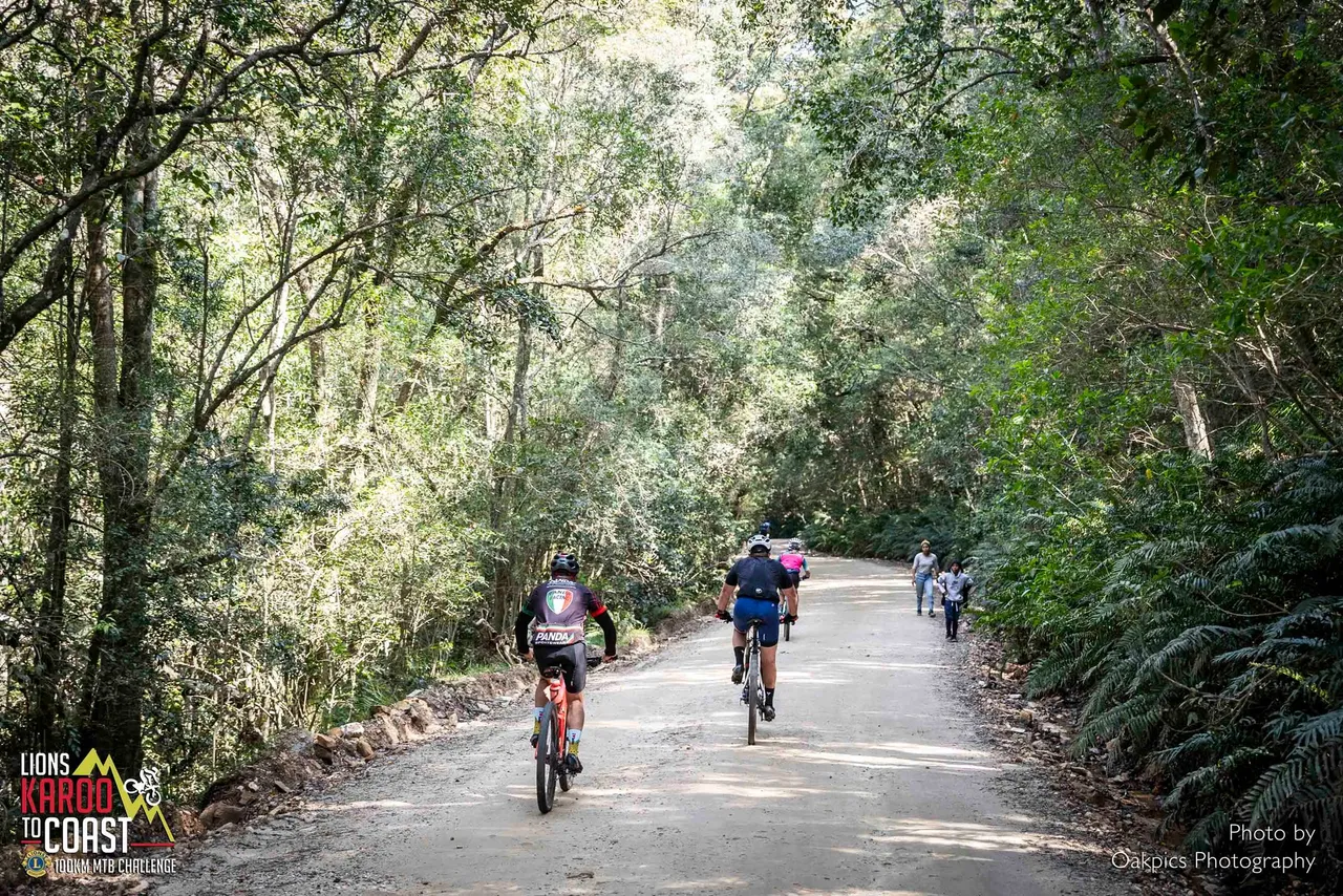 May be an image of 5 people, bicycle, road and text