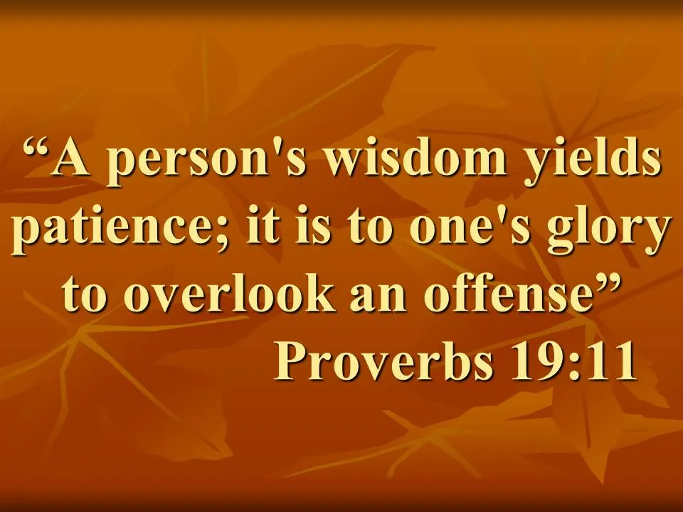 The blessing of meekness. A person's wisdom yields patience; it is to one's glory to overlook an offense. Proverbs 19,11.jpg