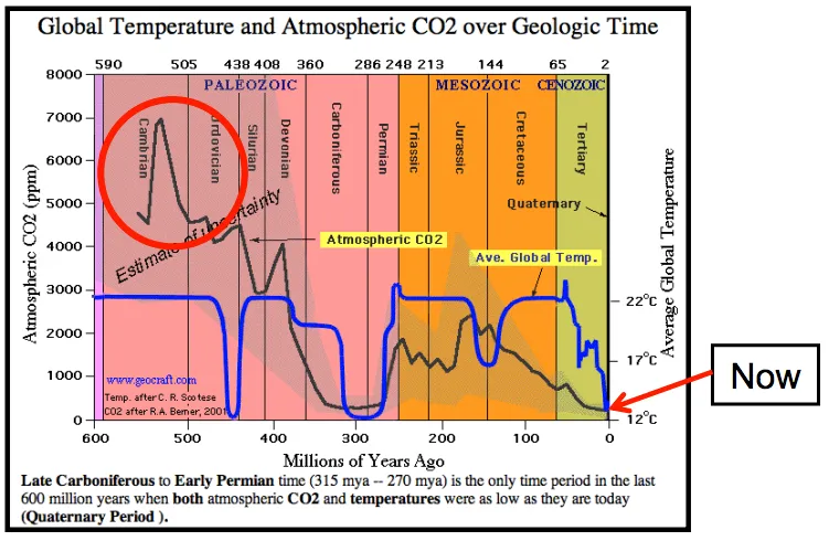 Geological Record Tempurature and Carbon Dioxide Record