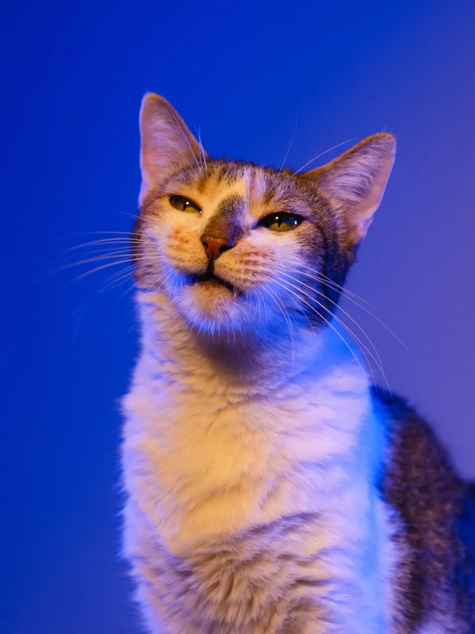qe4hiyepcw8OOMUf_DSC_2585.webp