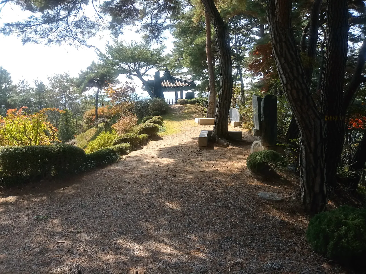20181014_123238_HDR.jpg